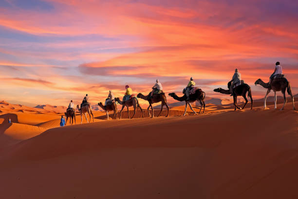 Excursión de Fes a Marrakech por el desierto 4 días