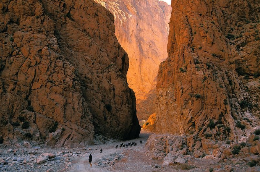 Todra Gorge