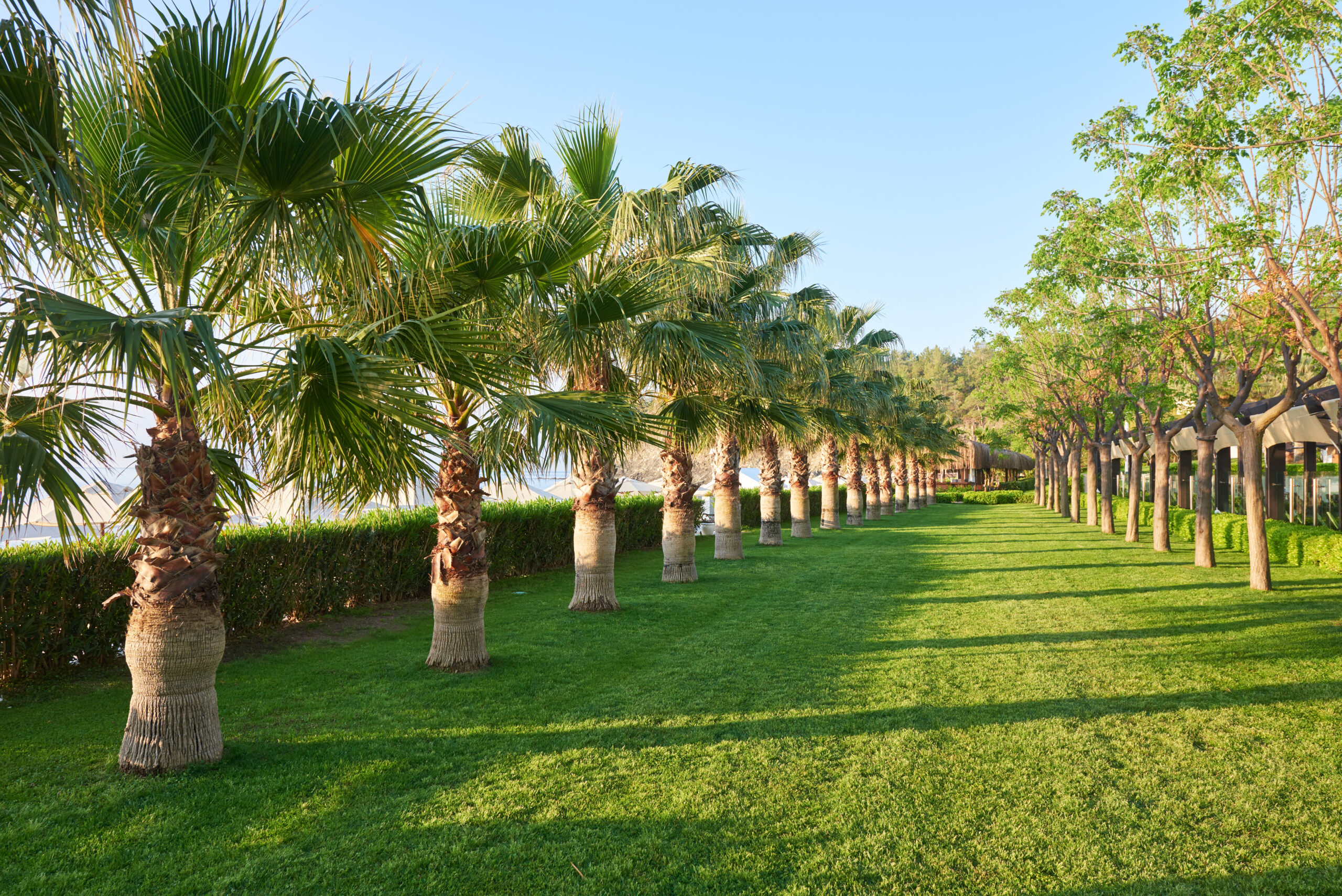 Beautiful Gardens of Marrakech