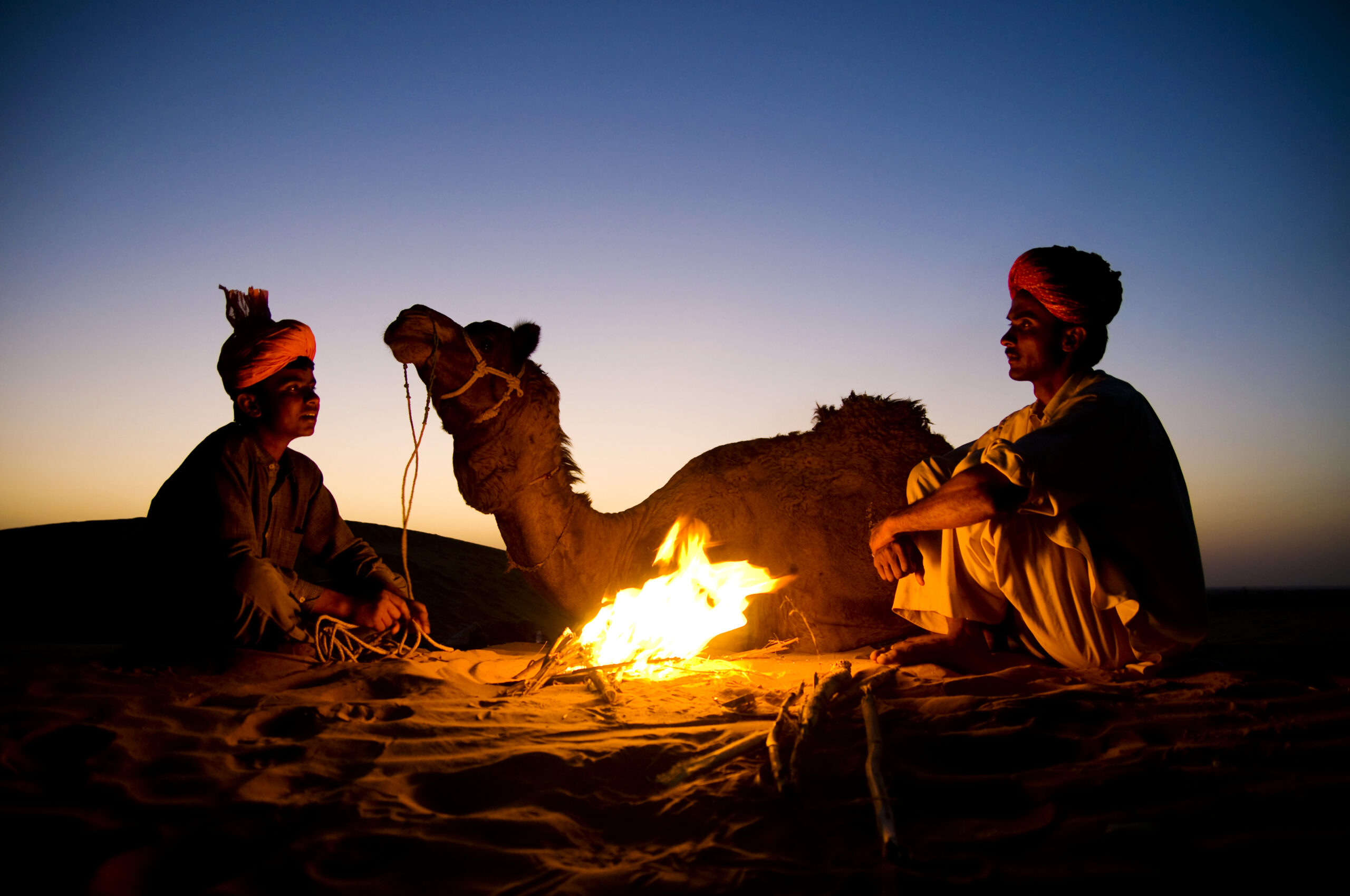 Camel Ride and Dinner in the Desert