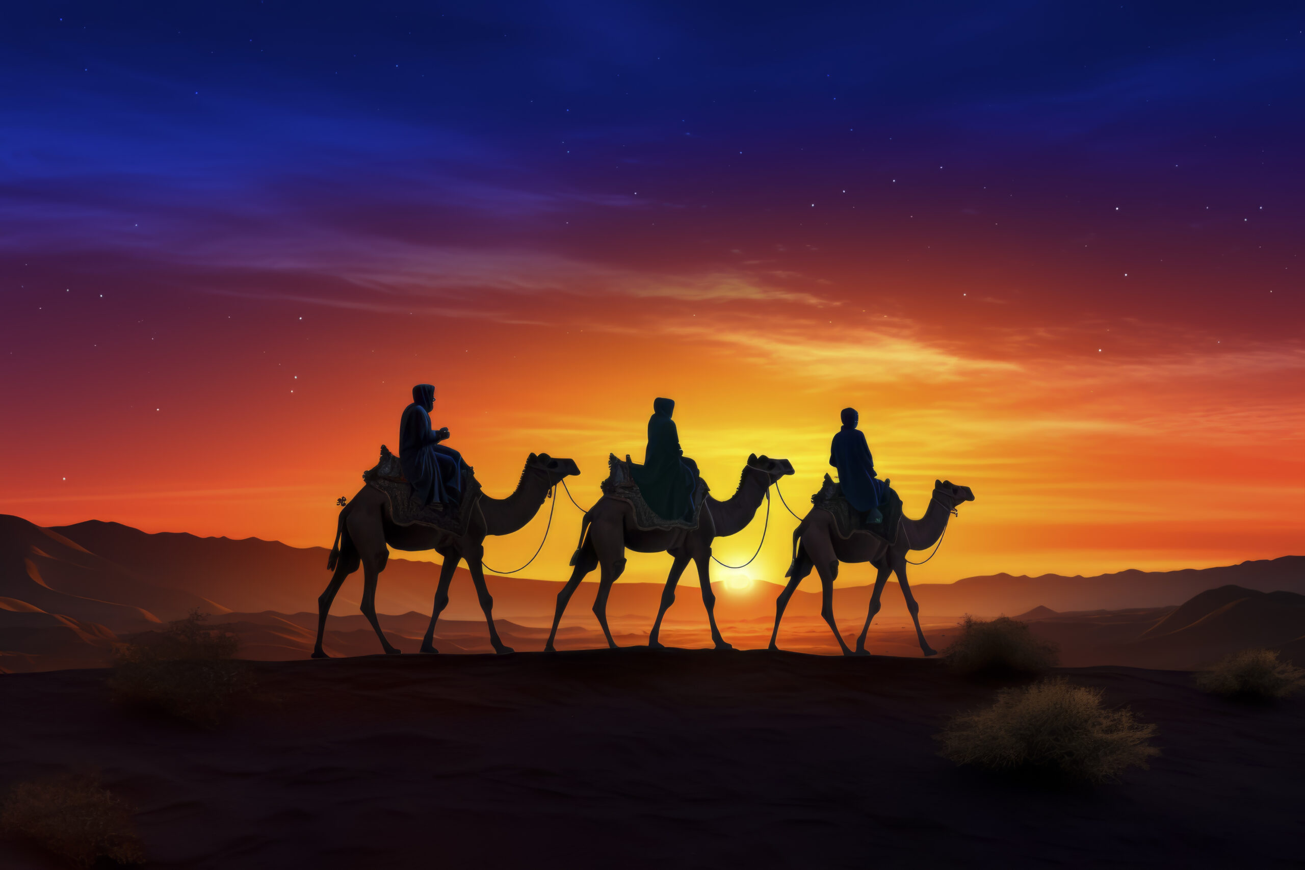 Camel Ride and Overnight Stay in Sahara Desert 