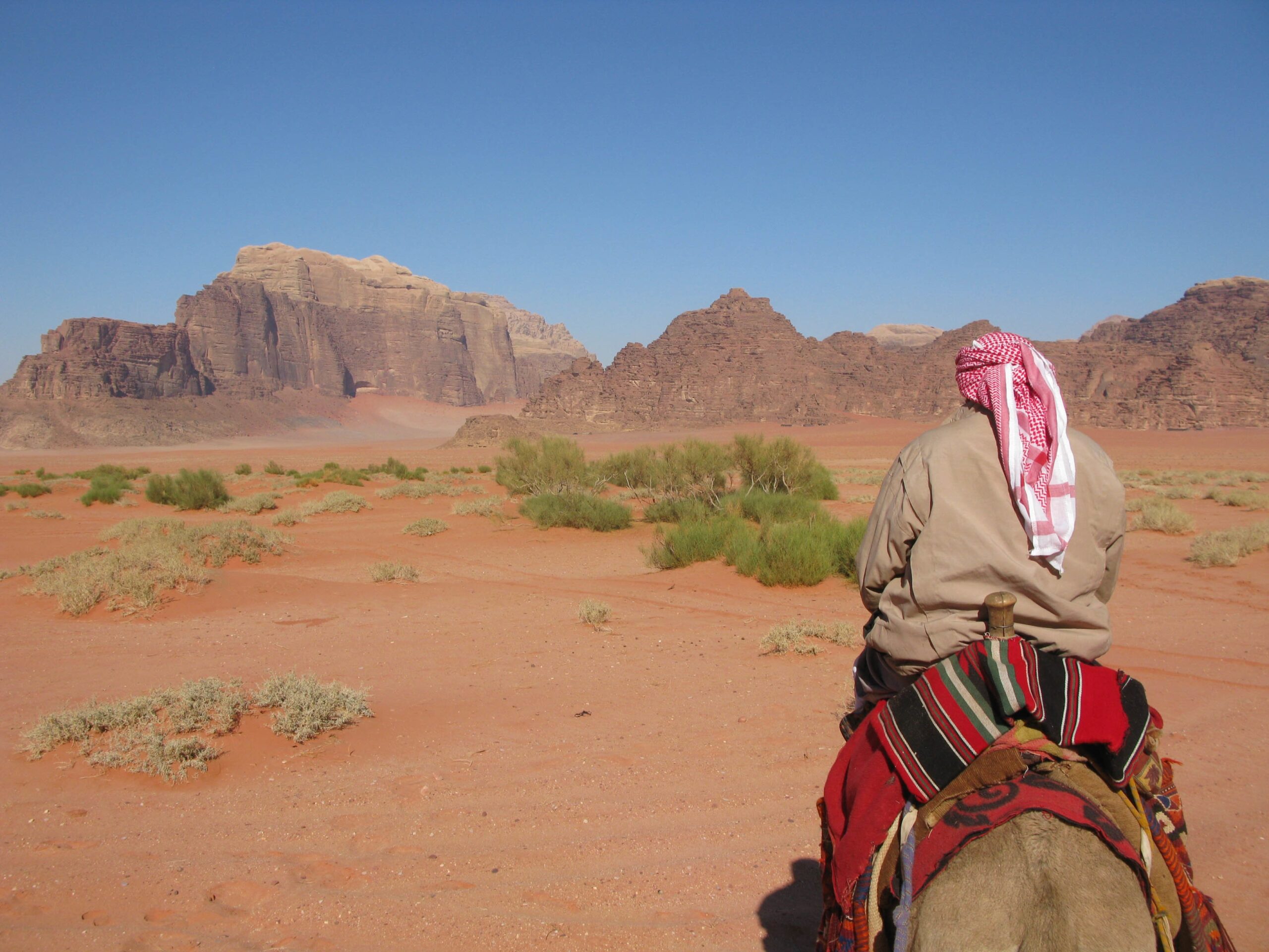 Camel ride to Atlas Mountains