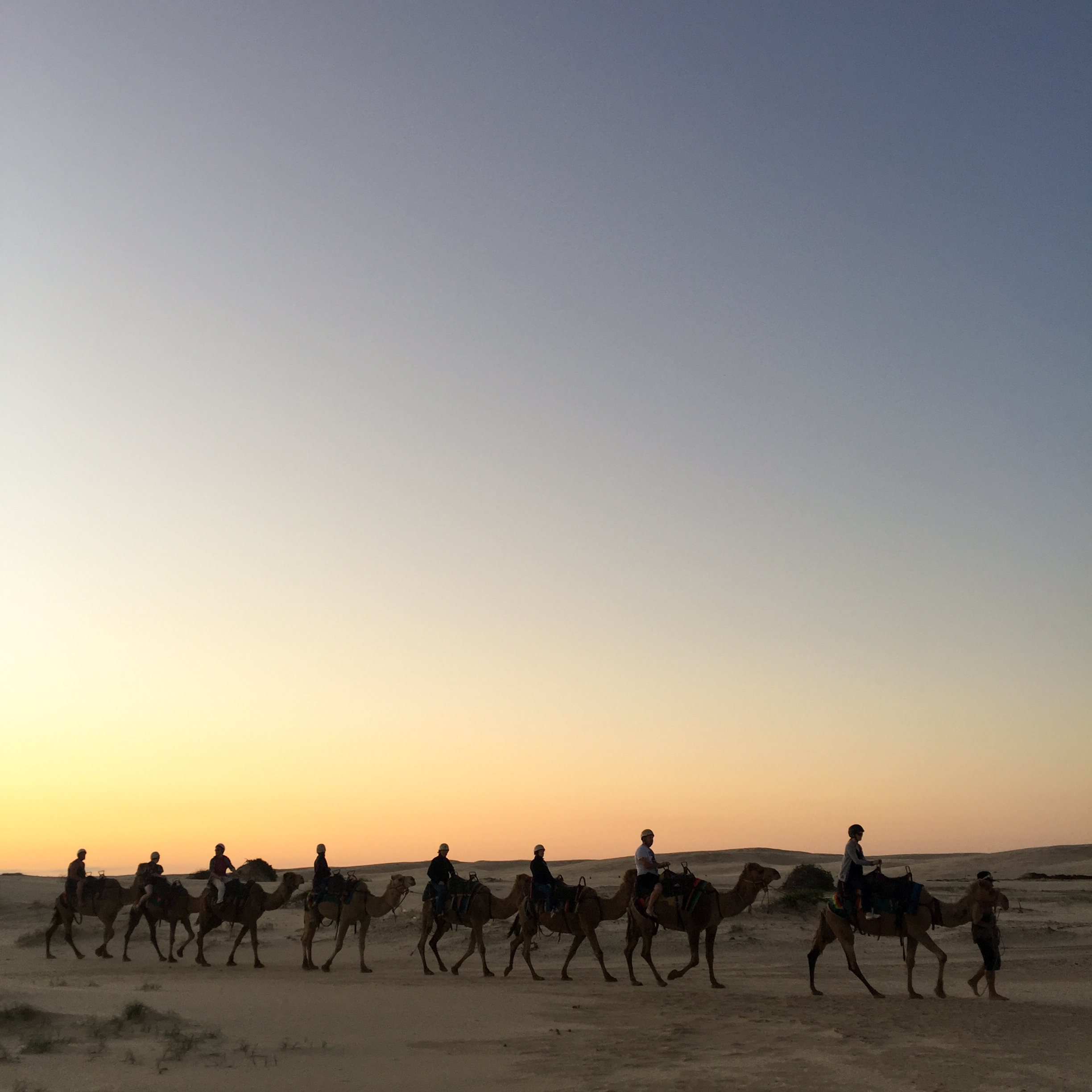 Full Day Camel Ride to Agafay Desert