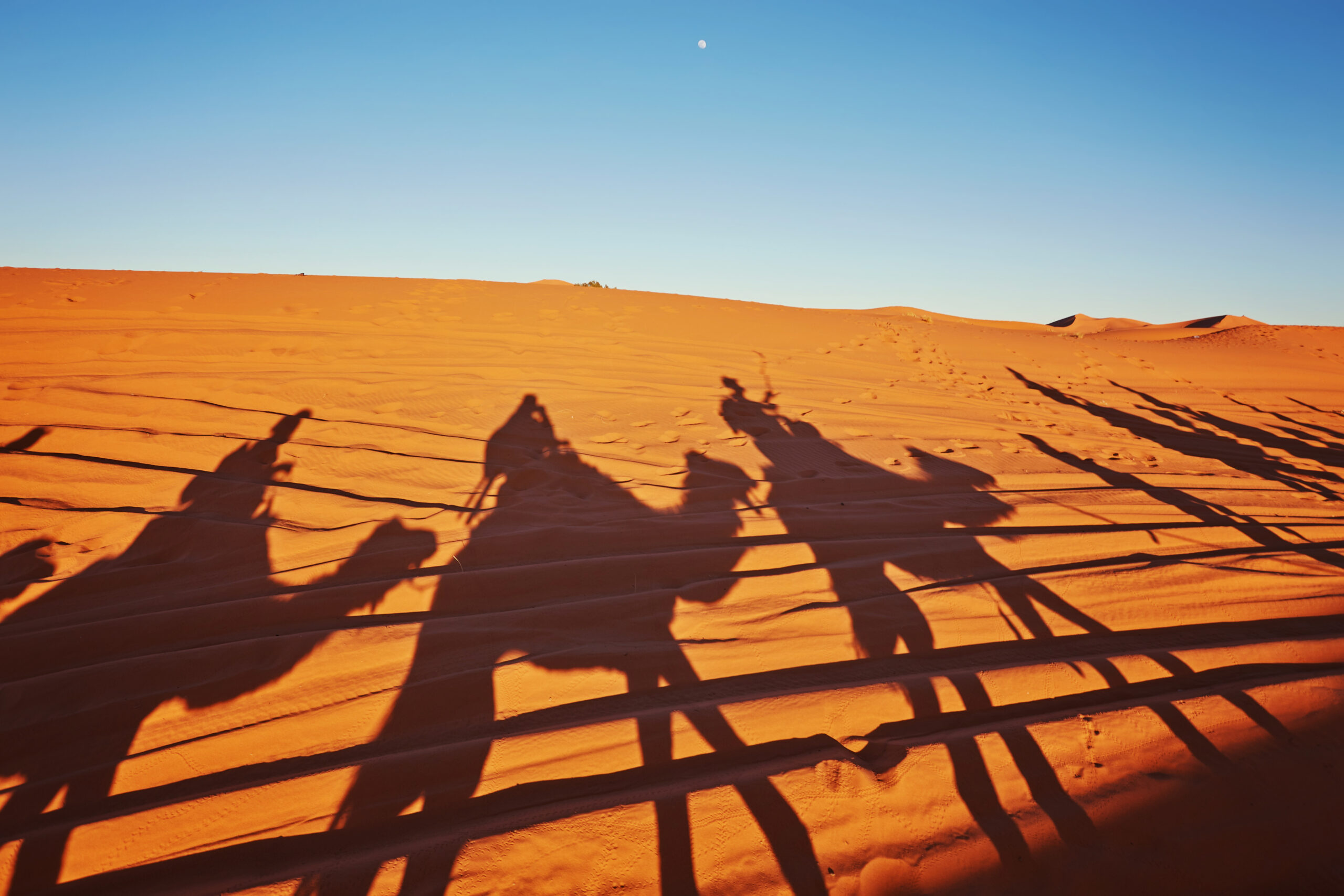 Camel Ride and Visit to Ouarzazate