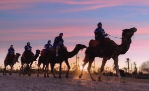 The Top 10 Best Marrakech Camel Rides & Desert Trips