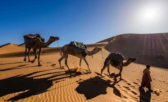 Why Should I Visit the Sahara Desert?