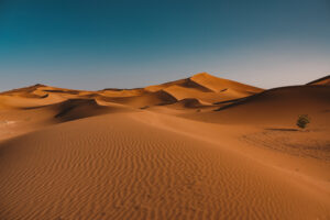 When to See the Sahara Desert in Its Full Glory